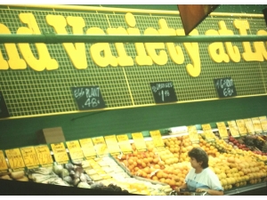 Interiors, Exteriors, Floor & Fixture Plans 