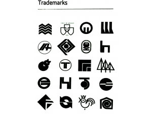 National and lnternational Trademark Designs 
