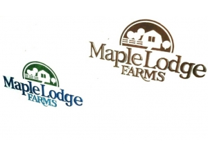 Consumer Goods Company. Logo, Packaging, Promos