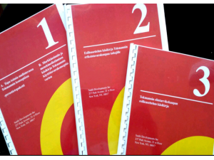 lnStore Merchandising & Operational Manuals EU 