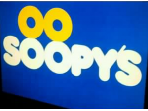 Logo Design. Specialty Store Concept 